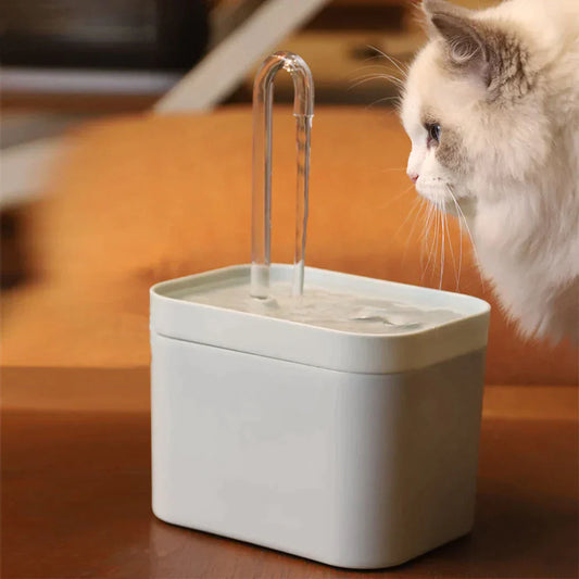 CatSpa | water fountain