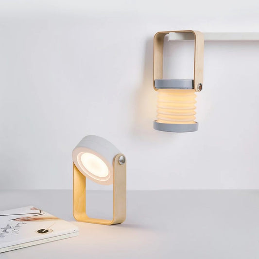 Multifunctionele lamp